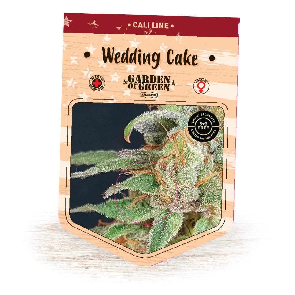 Wedding Cake Feminised Seeds | Garden Of Green | Cannabis Seeds