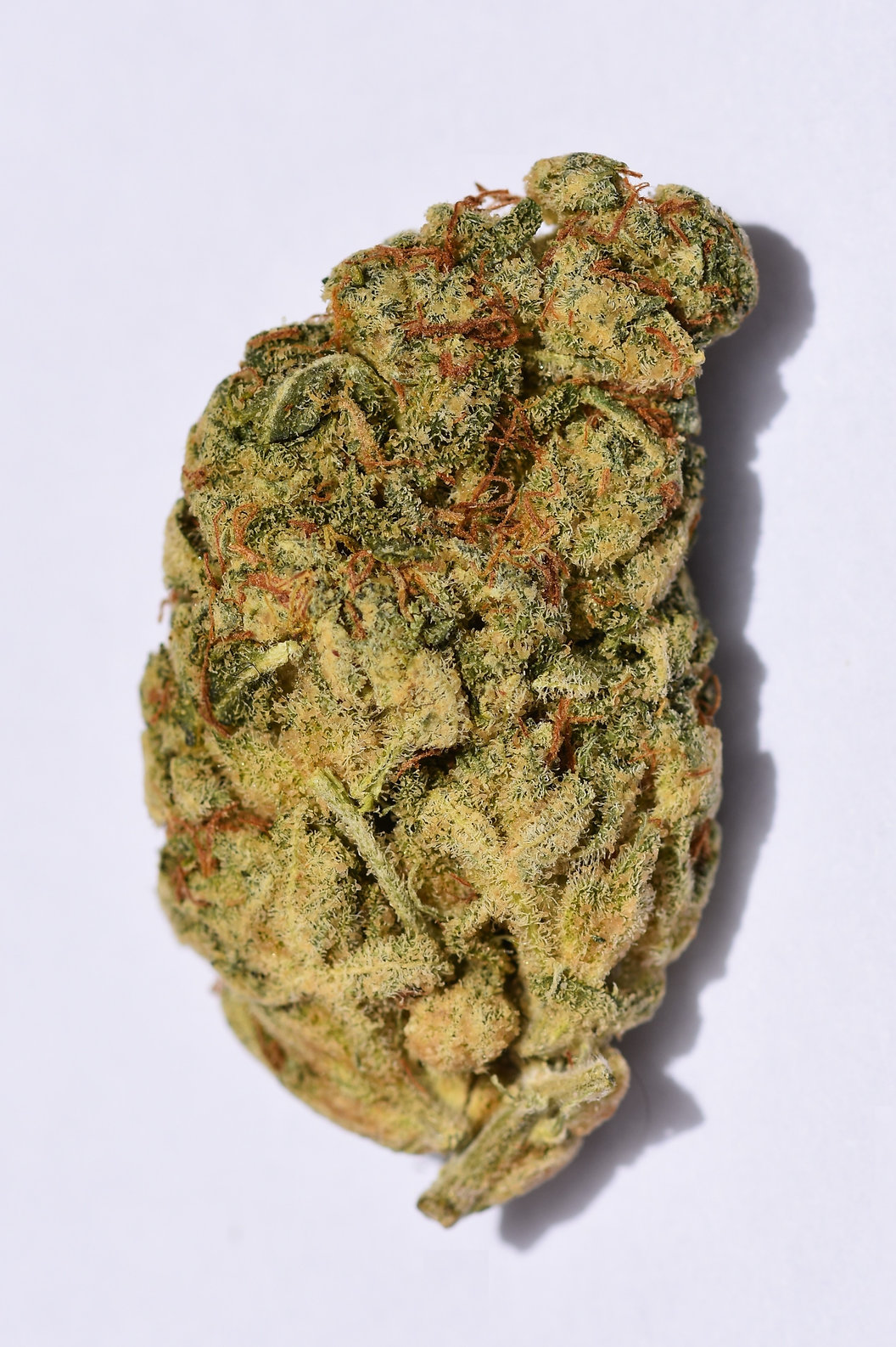 Classic Line - Wedding Cake Feminised Seeds | Bighead Seeds | Cannabis ...