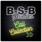 B S B  Cali  Connection