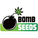 Bomb Cannabis Seeds