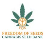 Freedom  Of  Cannabis  Seeds 0