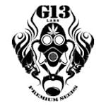 G13 Labs Cannabis Seeds 0
