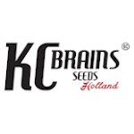 K C Brains 0