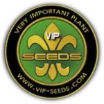 V I P  Cannabis  Seeds
