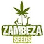 Zambeza  Cannabis  Seeds