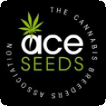 Ace Cannabis Seeds Breeder