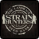 Strain Hunters Breeder 0