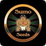 Sumo Cannabis Seeds Brand