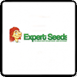 Expert Seeds Cannabis Seeds