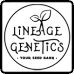 Lineage Genetics Cannabis Seeds