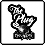 The Plug