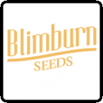 Blimburn Cannabis Seeds