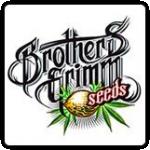 Brothers Grimm Seeds Cannabis Seeds