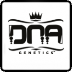DNA Genetics Cannabis Seeds