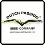 Dutch Passion Cannabis Seeds