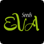 Eva Cannabis Seeds