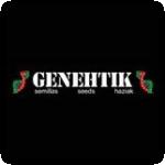Genehtik Seeds Cannabis Seeds