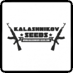 Kalashnikov Seeds Cannabis Seeds