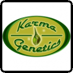 Karma Genetics Cannabis Seeds