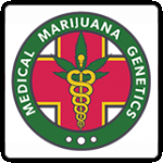Medical Marijuana Genetics Cannabis Seeds