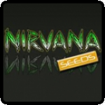 Nirvana Seeds Cannabis Seeds