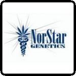 Norstar Genetics Cannabis Seeds