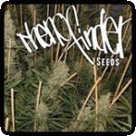 Pheno Finder Seeds Cannabis Seeds