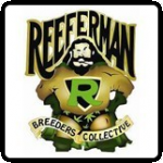 Reeferman Cannabis Seeds