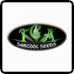 TGA Subcool Seeds Cannabis Seeds