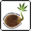 Emerald  Triangle  Cannabis  Seeds  Logo