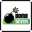 Bomb Seeds Cannabis Seeds