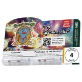 Sweet Cannabis Seeds Terp Explosion Mix
