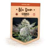 Blue  Dream  Feminised  Cannabis  Seeds  Jpg
