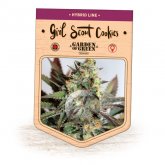 Girl  Scout  Cookies  Feminised  Cannabis  Seeds  Jpg