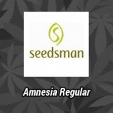 Amnesia Regular Seeds