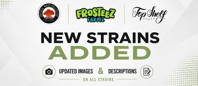 New Cannabis Seeds 10 O F F The Vault O F F E R S