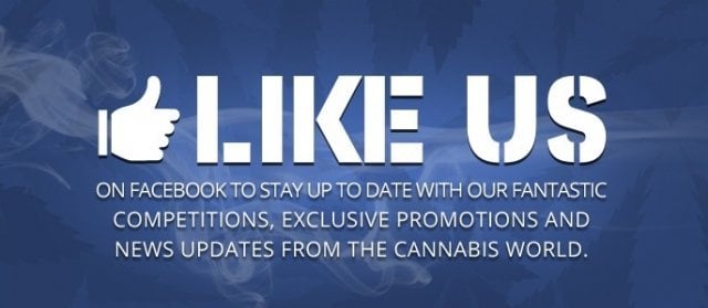 Like us on Facebook