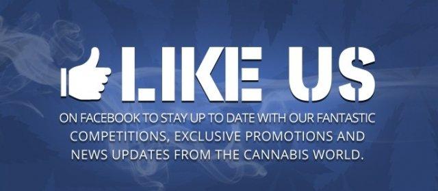 Like us on Facebook