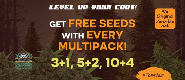 Original Sensible Seeds – Promo + Giveaway!