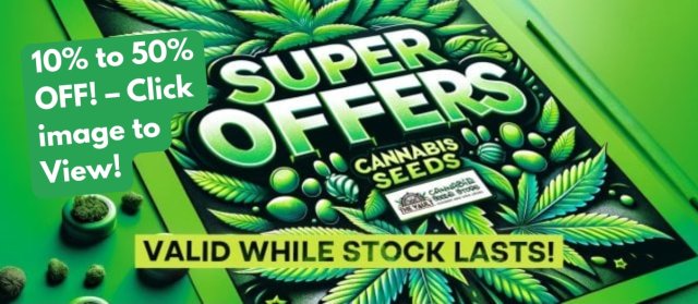 Super Special Offers