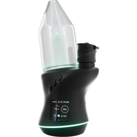 Focus  V  Carta 2   Black