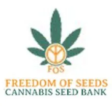 Freedom Of Cannabis Seeds 0 Jpg