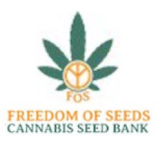 Freedom  Of  Cannabis  Seeds 0