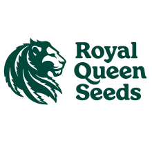 R Q S Png