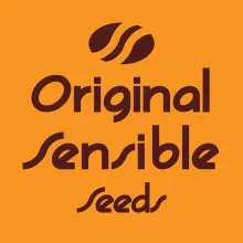 Original Sensible 0 Png