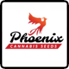Phoenix Cannabis Seeds Png