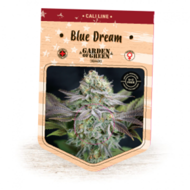 Garden Of Green Cannabis Seeds Blue Dream