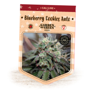 Garden Of Green Cannabis Seeds Blueberry Cookies Auto