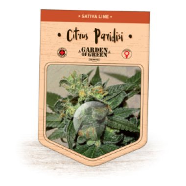 Garden Of Green Cannabis Seeds Citrus Paridisi