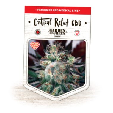 Garden Of Green Cannabis Seeds Critical Relief Cbd